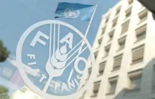 إطلاق الدورة 36 لمؤتمر منظمة الأغذية والزراعة للأمم المتحدة الإقليمي للشرق الأدنى الأسبوع المقبل