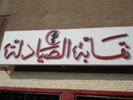 النقابة العامة لصيادلة مصر: صرف 28 مليون جنيه إعانات خلال عامين ونصف