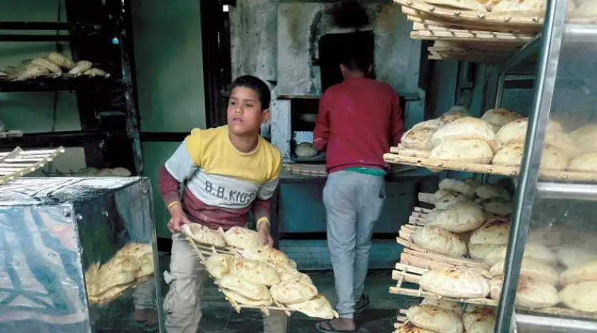 الحكومة المصرية تدرس تحويل الدعم لنقدي وسط تضخم عالمي