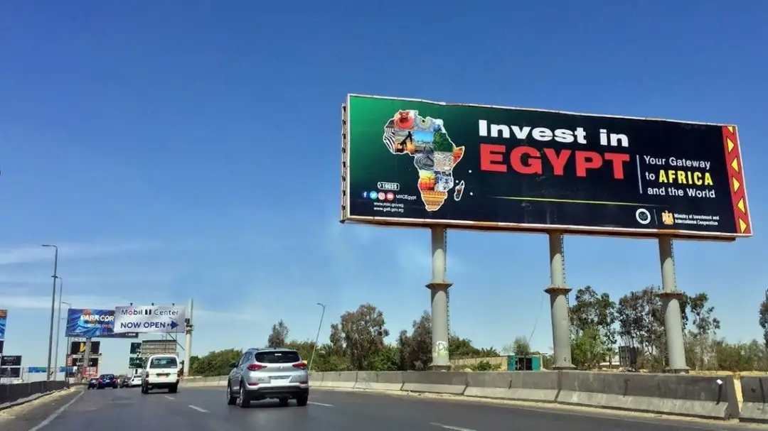 الرقابة المالية تصدر 42 ألف وثيقة تأمين للمصريين بالخارج