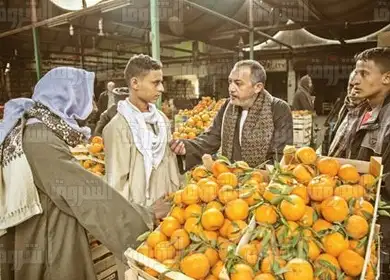 ارتفاع الفاصولياء والبرتقال واستقرار الطماطم في سوق العبور اليوم