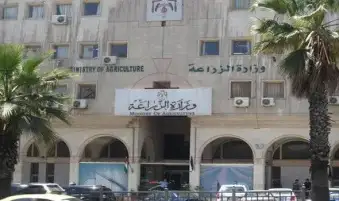 مصر : قطاع الزراعة نجح في الصمود خلال جائحة كورونا