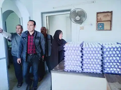 أقل بـ10جنيهات.. زراعة جنوب سيناء توفير بيض المائدة بسعر مدعم للمواطنين