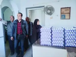 أقل بـ10جنيهات.. زراعة جنوب سيناء توفير بيض المائدة بسعر مدعم للمواطنين