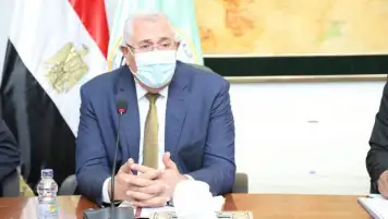 وزير الزراعة: مصر تزرع 3.5 مليون فدان قمح سنويًا
