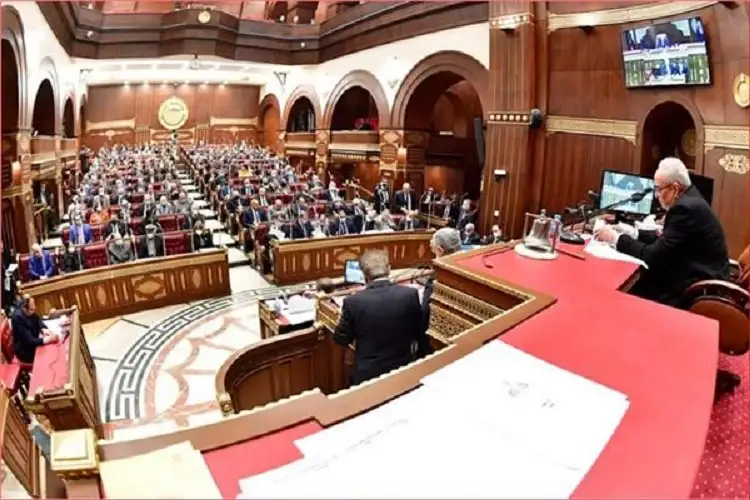 وزيرة الصناعة: الحكومة حريصة على دعم وتشجيع الصناعة الوطنية