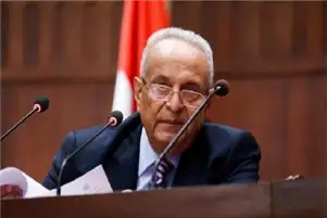 مجلس الشيوخ يوافق على إحالة مناقشات تعميق التصنيع المحلي للجان لدراستها