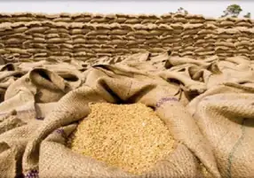 المصيلحي يؤكد مصر لديها احتياطي آمن من القمح ويكفي 5.4 شهر