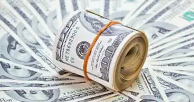تعرف على أسعار الدولار اليوم الثلاثاء 15-2-2022 في البنوك المصرية