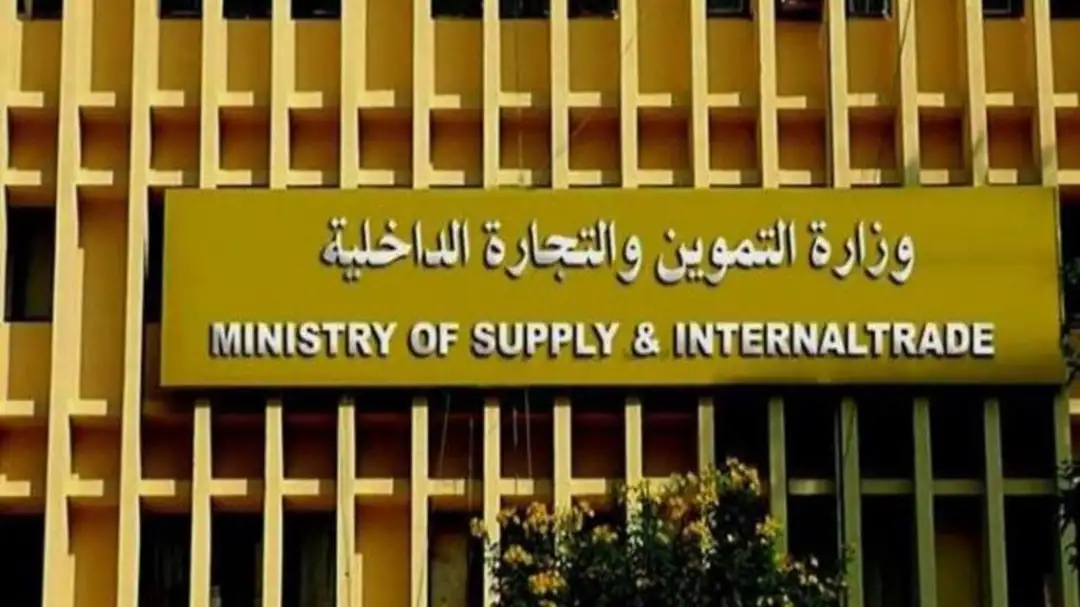 مصر : لدينا احتياطي آمن من القمح حتى نهاية 2022