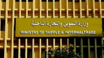 مصر : لدينا احتياطي آمن من القمح حتى نهاية 2022