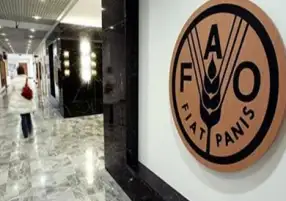 الفاو : مؤشر أسعار الأغذية يرتفع إلى مستوى قياسي خلال فبراير