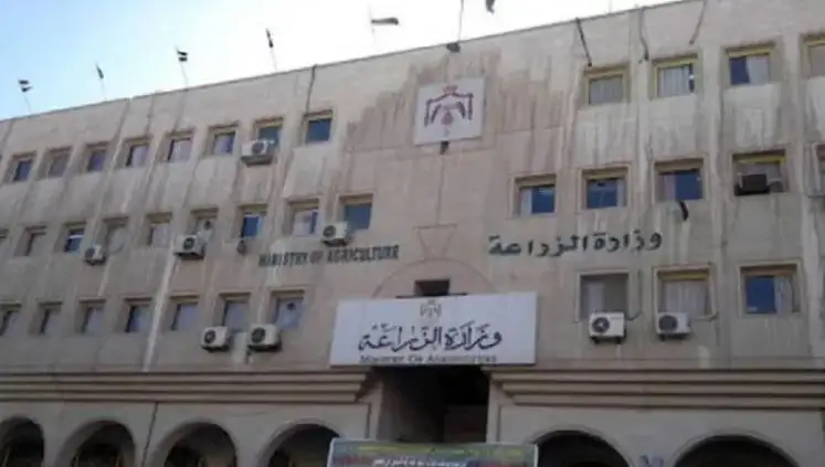 وزارة الزراعة: نمتلك 400 منفذ بجميع المحافظات بأسعار تقل 25% عن السوق