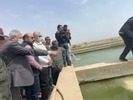 مصر :  رفع كفائة مفرخ «جرف حسين» السمكي بأسوان لـ60 مليون زريعة سنويا