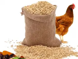 استمرار تباين أسعار خامات الأعلاف في الأسواق