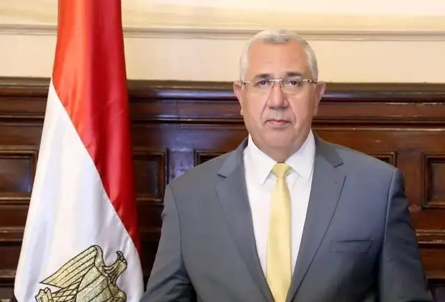 وزير الزراعة: مشروع الصوامع ضاعف الطاقة الاستيعابية لتخزين القمح