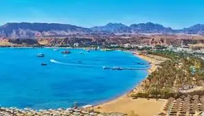 مستثمرون: لا استغناء عن العاملين بالسياحة بسبب الغزو الوسي لأوكرانيا