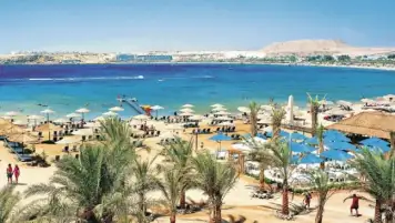 شركات السياحة تدعو لحوار مجتمعي سياحي لإعداد اللائحة التنفيذية لقانون المنشآت السياحية