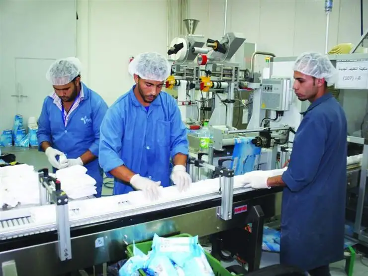 وحدة متنقلة من جهاز تنمية المشروعات تزور المجمعات الإنتاجية في قرى حياة كريمة