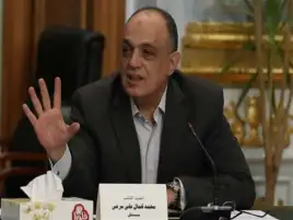 برلماني: المشروعات الصغيرة والمتوسطة أكبر داعم للاقتصاد الوطني