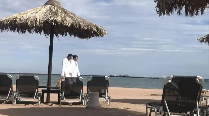 مصر: الحكومة تتخذ تسهيلات غير مسبوقة لإنعاش السياحة