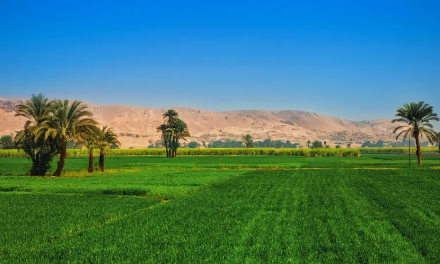 الحكومة تنفى تعديل أحكام قانون الإصلاح الزراعي بهدف ضم أراضي لجهات حكومية