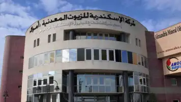 قفزة قياسية في أرباح “أموك”.. سجلت 762 مليون جنيه في 9 أشهر