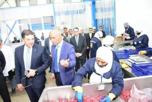رئيس هيئة الاستثمار يتفقد سير العمل بمشروعات المنطقتين الاستثماريتين ببنها وميت غمر