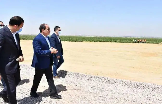 الرئيس السيسي يشهد بدء موسم حصاد القمح في توشكى