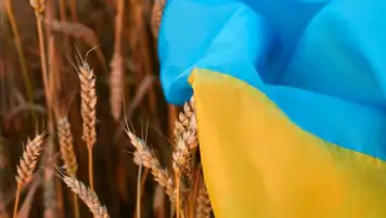 أوكرانيا تتهم روسيا بسرقة “مئات الآلاف من الأطنان” من الحبوب