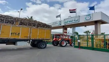 الدلتا للسكر: استلام مليون طن بنجر من المزارعين وإنتاج 144 ألف طن سكر حتى الآن