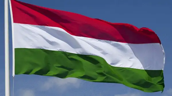 البنك المركزى يطرح سندات خزانة بقيمة 500 مليون جنيه