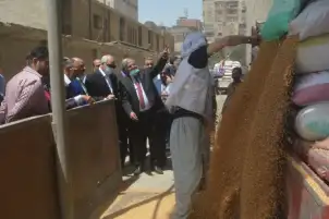 محافظ الجيزة: توريد 12 ألف طن قمح محلي بالشون والصوامع