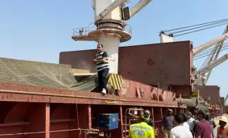 "الزراعة" تنشر تفاصيل تحليل وشحن أول مركب قمح هندى إلى مصر