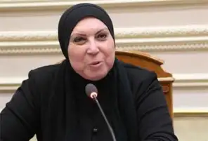 وزيرة الصناعة: تنسيق كامل مع كافة أجهزة الدولة لتوفير الأراضي الصناعية للمستثمرين