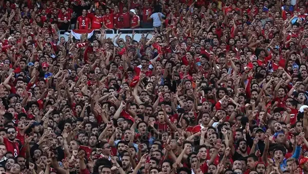 الأهلي يُكلف شركتين بسفر الجماهير للمغرب لحضور نهائي إفريقيا