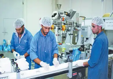 «مستثمرى المشروعات الصغيرة والمتوسطة»: دخول رءوس أموال جديدة للسوق المصرية بدعم من حوافز الحكومة