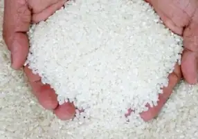 وزير التموين: التعاقد على شراء 50 ألف طن أرز