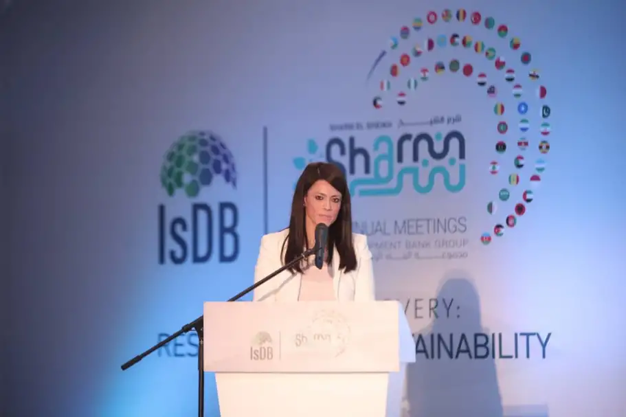 المشاط: الشراكات متعددة الأطراف نهج لا غنى عنه لتحقيق التنمية المستدامة