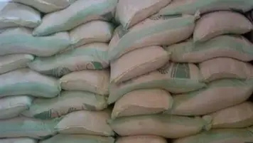 تشمل الأرز والخضر.. وزير الزراعة: حققنا اكتفاء ذاتيا في عدد كبير من المحاصيل