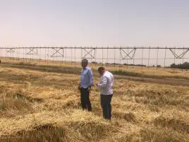 وزير قطاع الأعمال العام يتلقى تقريرا حول تطور أداء شركة جنوب الوادي بتوشكى