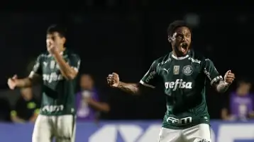بالميراس يتصدر الدوري البرازيلي برباعية في شباك بوتافوجو