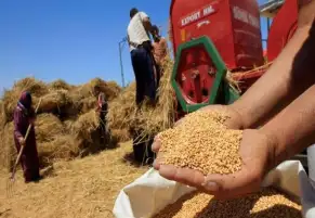 العراق يعتزم استيراد 1.5 مليون طن قمح من أستراليا وأمريكا
