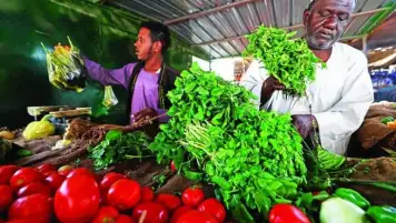 التضخم السنوى بالسودان ينخفض إلى 192.21% فى مايو مقابل 220.71% فى أبريل