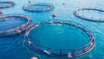 قناة السويس تصدر بيانا حول مشروعات التطوير التي تنفذها في الاستزراع المائي