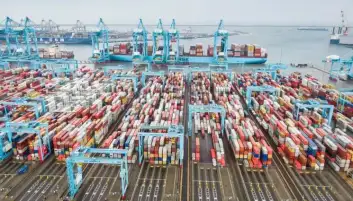 38,2 مليار دولار قيمة تجارة مصر الخارجية بنمو 25% خلال الربع الأول