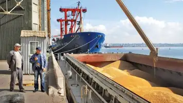 تراجع صادرات الحبوب الأوكرانية 40% بالنصف الأول من يونيو
