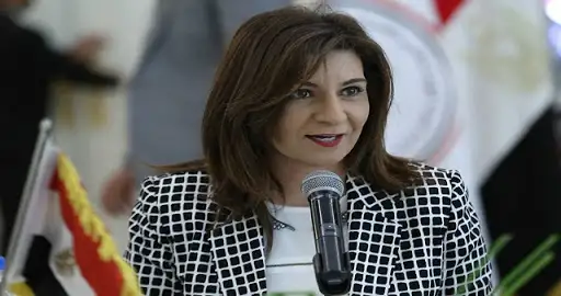 للمصريين في الخارج.. كيفية التواصل مع مبادرة الهجرة للدعم النفسي