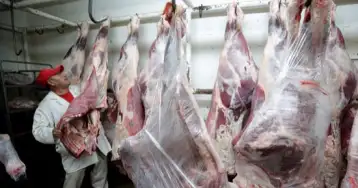 11 نصيحة من الزراعة يجب معرفتها قبل شراء لحوم عيد الأضحى المبارك