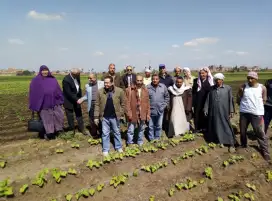 وزارة الزراعة تبتكر طرقًا بديلة لتقليل تكلفة الإنتاج